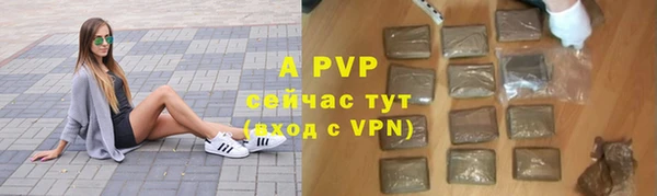 стафф Алексин