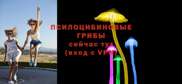 стафф Алексин
