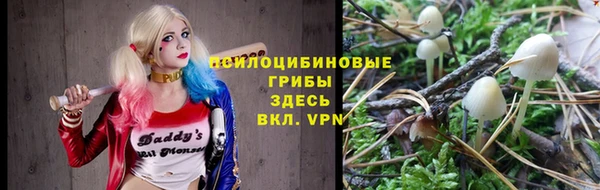 крисы Алзамай