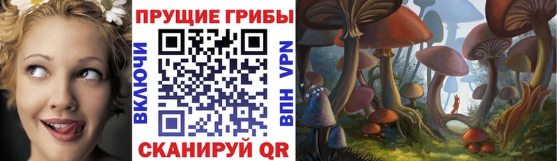 Псилоцибиновые грибы MAGIC MUSHROOMS  mega онион  Катав-Ивановск 